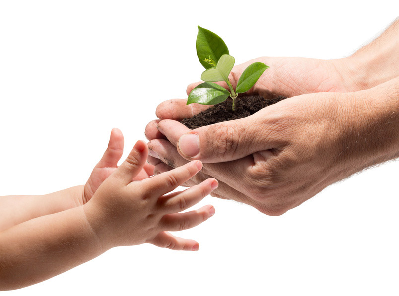 Hände eines Erwachsenen reichen kleine Pflanze in Erde an Kinderhand